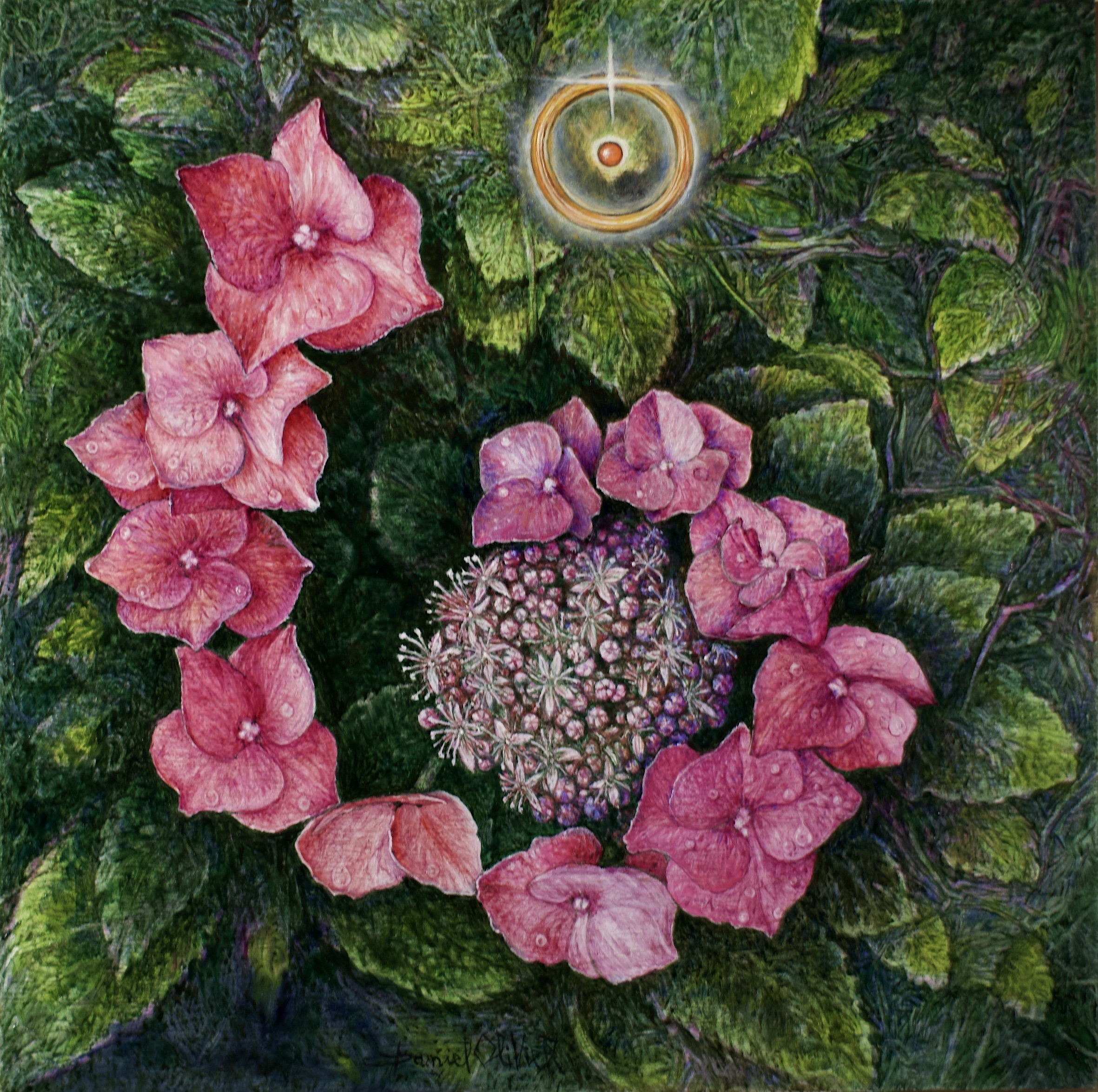 Hortensia (20x20 cm)